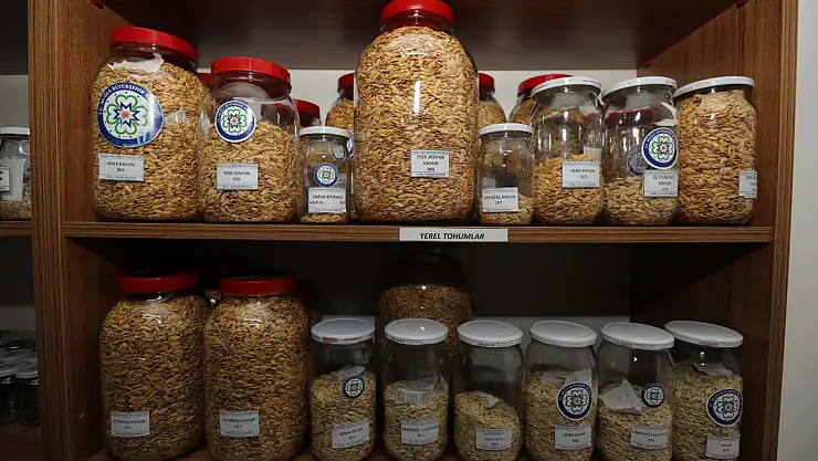 Büyükşehir 2026 Yılında 4 Milyon Yerel Tohum Dağıtımı Hedefliyor