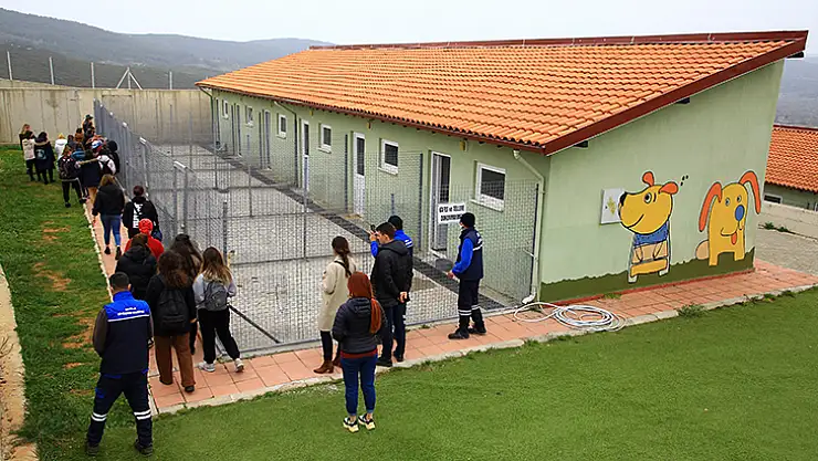 Büyükşehir 3 Bin 174 Can Dostu Sahiplendirdi