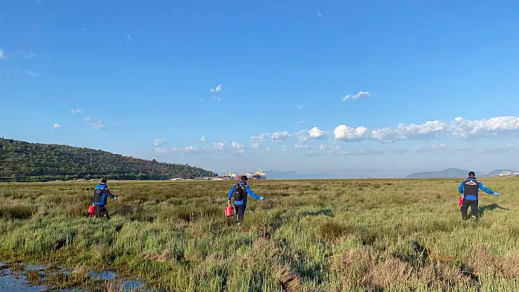 Büyükşehir Belediyesi'nden Güllük Mahallesi'nde 60 Hektar alanda ilaçlama