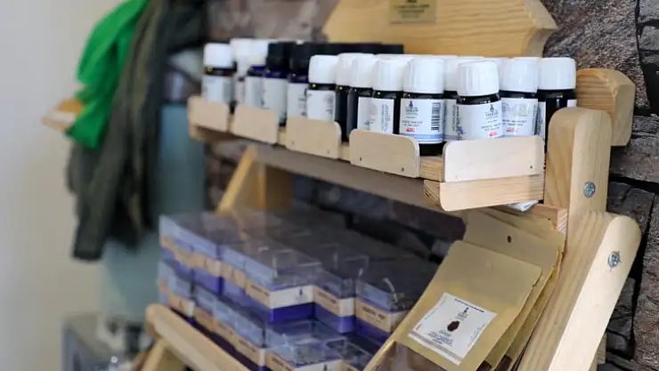 Büyükşehir desteği ile 212 dekar arazi Lavanta ile buluştu