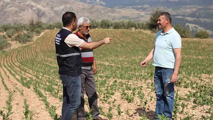 Büyükşehir, Dolu Felaketinin Yaralarını Üreticiyle Birlikte Sarıyor