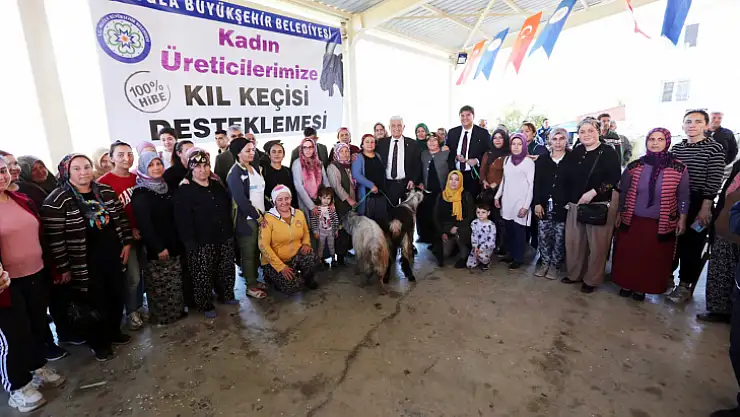 Büyükşehirden kadın üreticilere kıl keçisi desteği