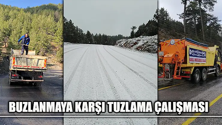 Buzlanmaya Karşı Tuzlama Çalışması