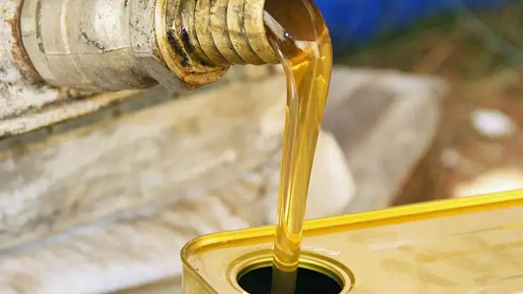 Çam balına TSE standartı