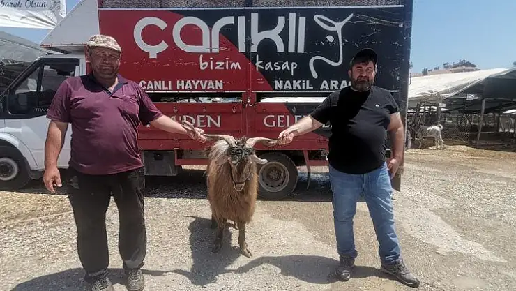 Çarıklı Kasap'ın hayvan pazarında satışları devam ediyor