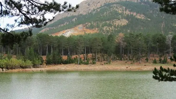 CHP'li Erbay, Sandras ölürse Muğla ölür  