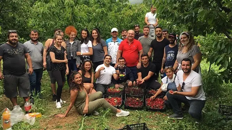 CHP'den kiraz etkinliği 