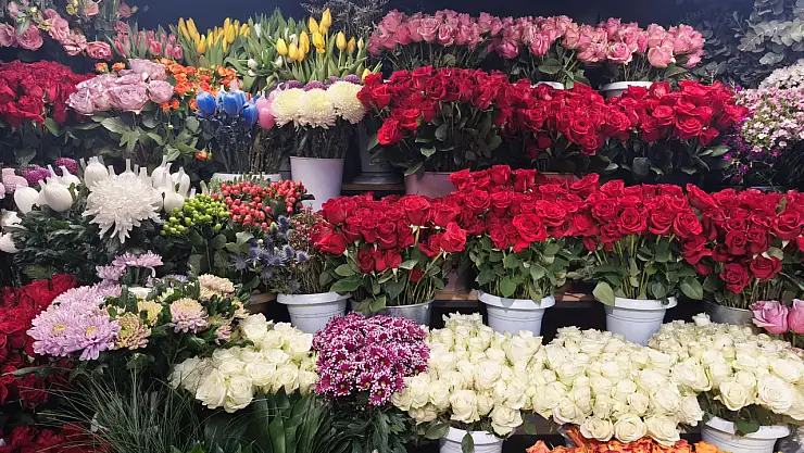 Çiçekçilerde Sevgililer Günü hareketliliği başladı