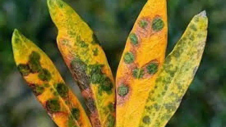 Çiftçiler Uyarıldı