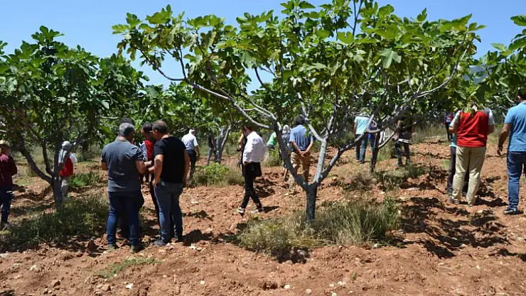 Çiftçileri bilgilendirmek için bahçede eğitim verildi