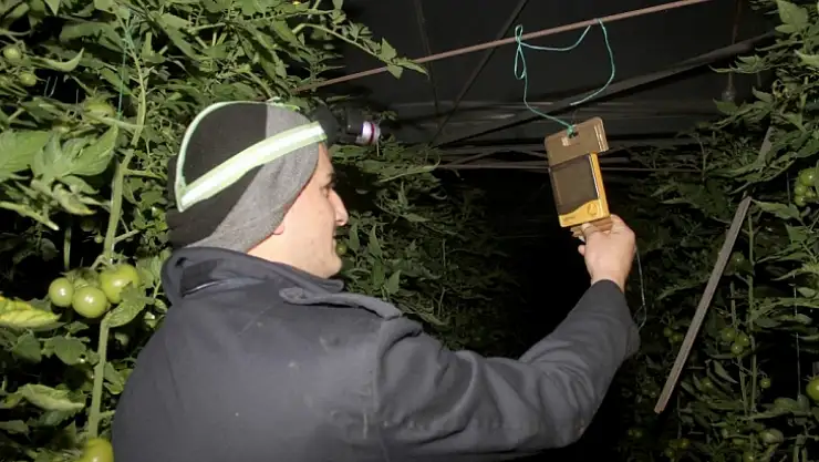 Çiftçilerin zirai don nöbeti 