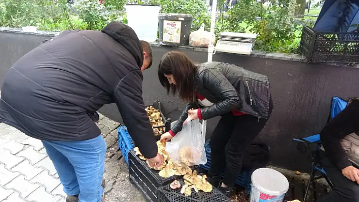 Çıntar Et Fiyatı İle Yarışıyor