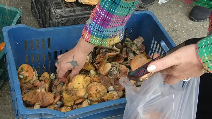 Çıntarlar pazar tezgahlarında yerini aldı