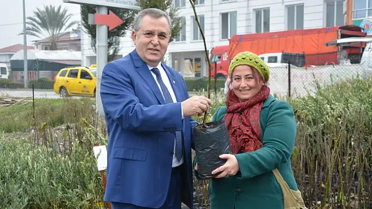 COĞRAFİ İŞARETLİ FETHİYE KAYA İNCİRİ FİDANLARI ÜRETİCİLERLE BULUŞTU