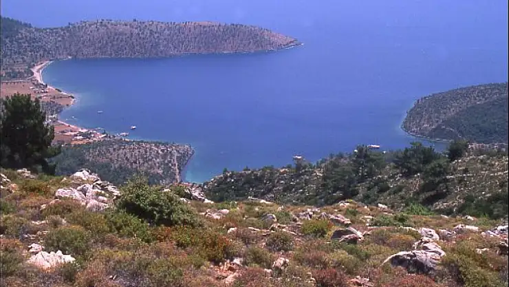 Çökertme Koyu'nda Tekrar Değişik Türde Çiçekler Görüldü