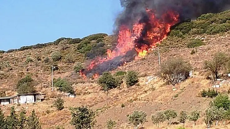Datça'da makilik yangını başladı
