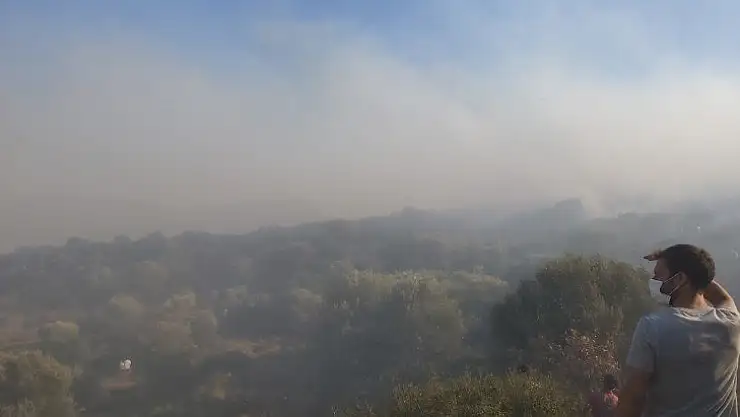 Datça'da makilik yangını kontrol altına alındı