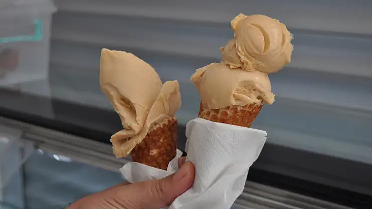 Dedesinin Tarifiyle Dondurma Üretiyor