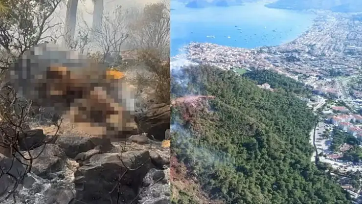 Delil Yetersizliğinden Serbest Kaldı