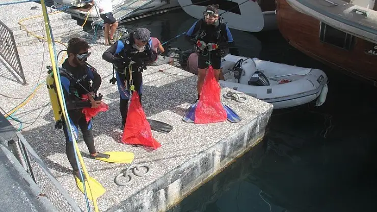 Deniz Dibinden Zıpkın Bile Çıktı