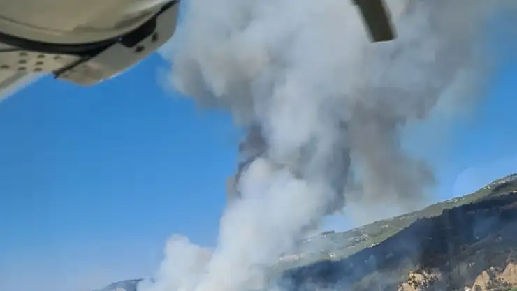 DENİZLİ - MUĞLA İL SINIRINDA ORMAN YANGINI