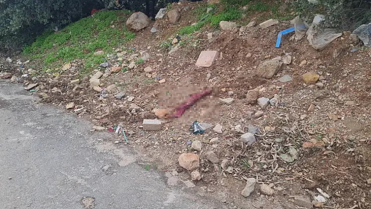 Derisini Yüzüp, Çöpe Atmışlar