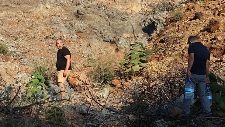 Diktikleri fidanları her gün kontrol edip suluyorlar