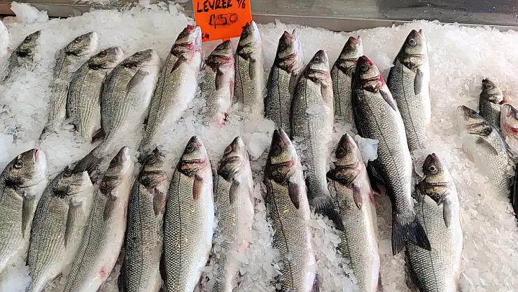 'Doğan Seafood Balık Marketi' Yaza Hazır