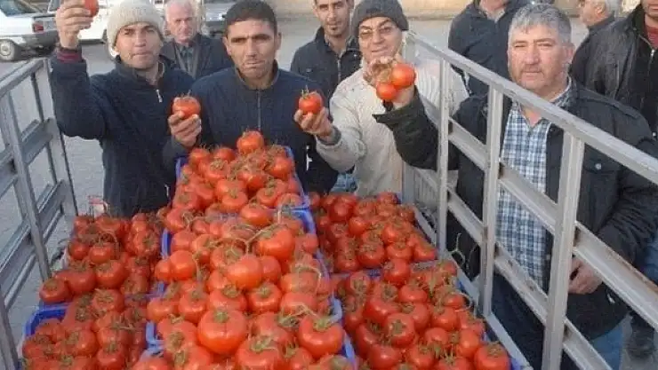 DOMATESTE KOTA ARTTI, ÜRETİCİLER SEVİNÇ İÇİNDE