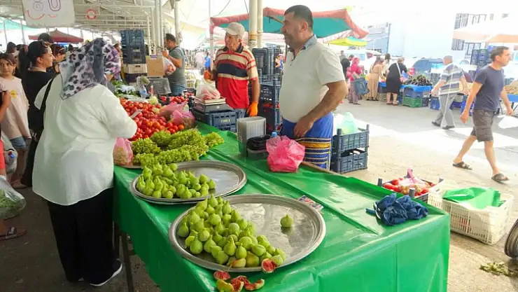 Dönemin en popüler meyvesi Aydın inciri oldu