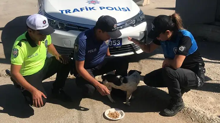 EMNİYETTEN MAMA DAĞITIMI