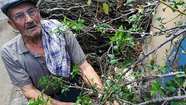 Erik mevsimleri şaşırdı