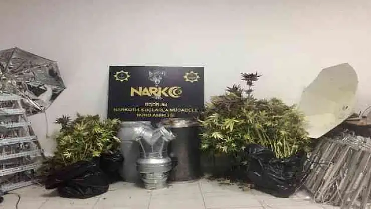 EVİ KENEVİR BAHÇESİNE ÇEVİRMİŞ