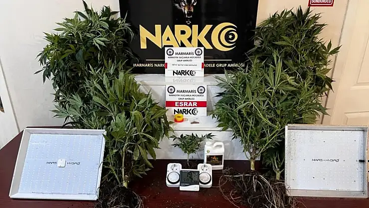 EVİNDE UYUŞTURUCU YETİŞTİREN ŞAHIS YAKALANDI
