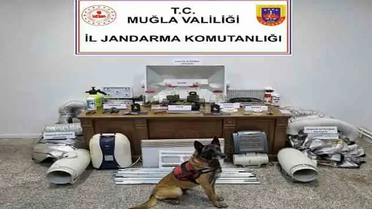 EVİNİ UYUŞTURUCU TARLASINA ÇEVİRMİŞ