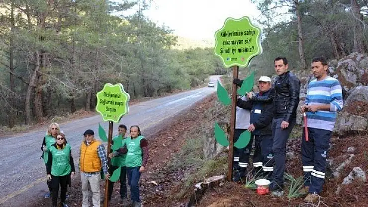 Fethiye Belediyesi 506 ağacın kesilmesini protesto etti.  