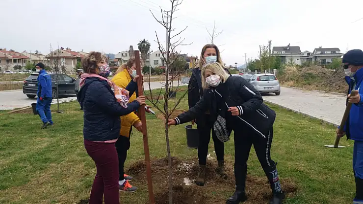 Fethiye Belediyesi ve CHP Kadın Kolları'ndan '1 can 1 fidan' etkinliği