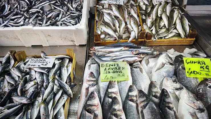 Fethiye'de balık çeşidi bol, fiyatlar da gayet makul