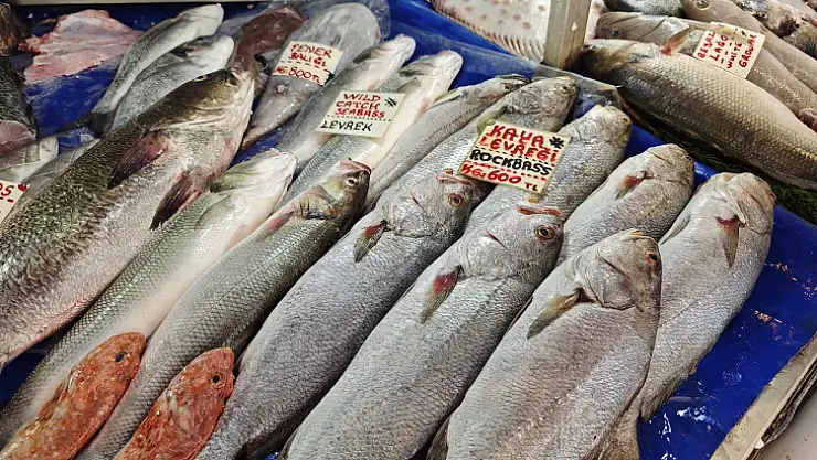 Fethiye'de balıkçılar sezon kötü gidiyor dedi