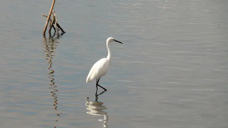 FETHİYE'DE DENİZ SUYU ÇEKİLDİ