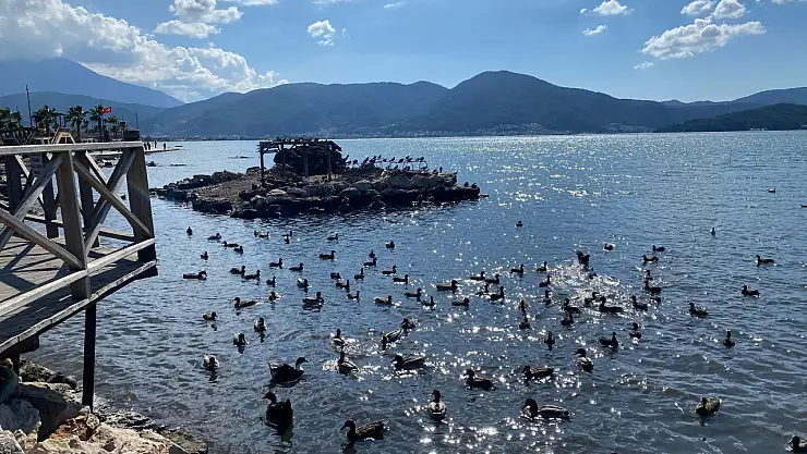 Fethiye'de denizin çekildiği Ördek Adası'nda deniz normale döndü
