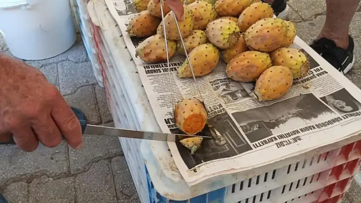 Dikenli incir tanesi 10 liradan satılıyor