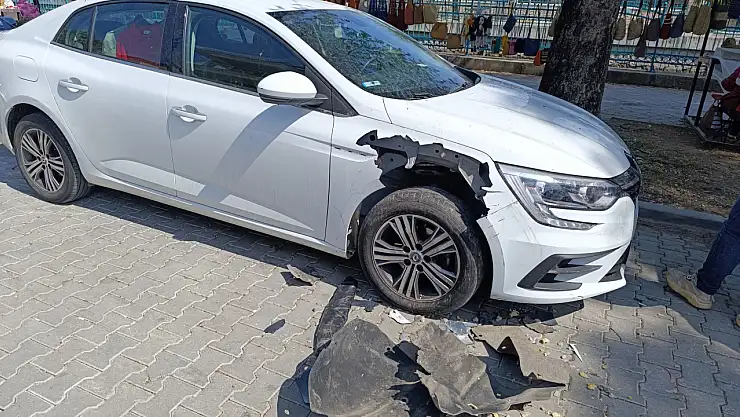 Fethiye'de Domuz Alarmı, Otomobile Saldırdılar