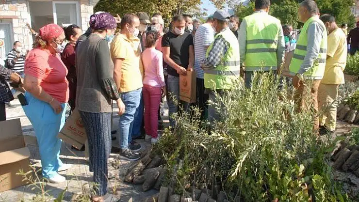 Fethiye'de fidanlar kapış kapış