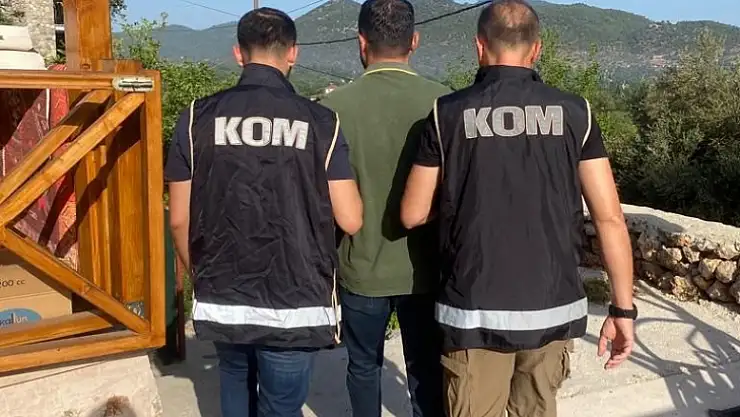 Fethiye'de Musilaj Operasyonu