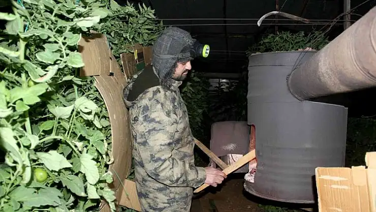 Fethiye'de seracıların sobalı zirai don nöbeti