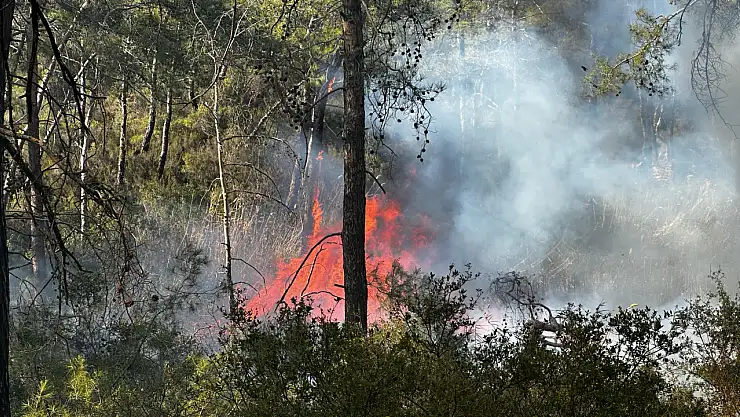 Fethiye Karaot Bölgesi'nde Yangın Meydana Geldi