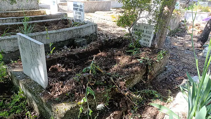 Fethiye Karapınar mezarlığında domuz talanı