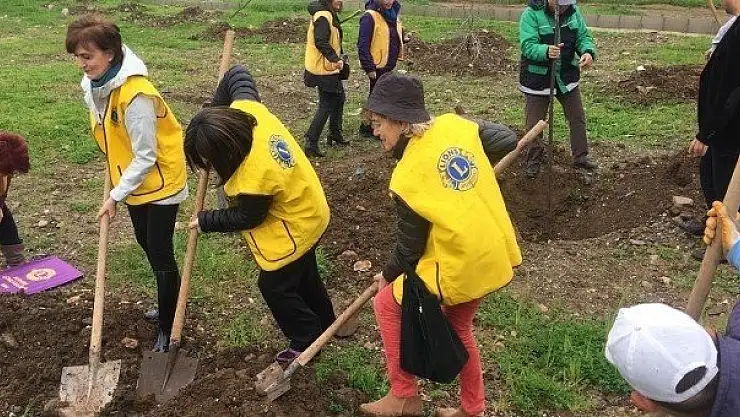 FETHİYE  LİONS  KULÜBÜNDEN ÖRNEK  ETKİNLİKLER