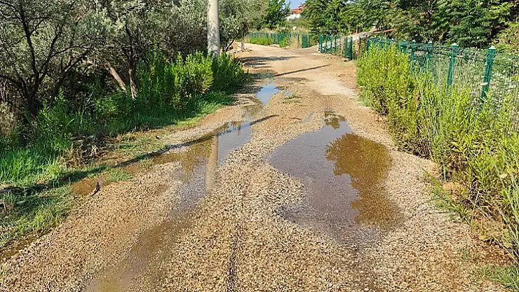 Fethiye'nin Eldirek köyünde su borusu patladı: Vatandaşlar 10 gündür susuz!